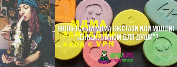 шишки Белоозёрский