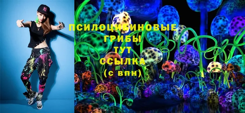 Галлюциногенные грибы Magic Shrooms  площадка телеграм  Шарыпово 